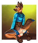  2016 animal_genitalia animal_penis anthro anus backsack balls blue_fur brown_fur butt canine canine_penis claws clothing english_text fur looking_at_viewer looking_back male mammal nhalafallon penis raised_tail smile solo sweater text thunder-renamon toe_claws undressing 