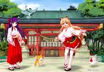  animal animal_ears bird blonde_hair cat chicken forest fox_ears fox_tail frilled_skirt frills hakama hakama_skirt haori japanese_clothes licking_paw long_hair miko multiple_girls naka_noboru nature original purple_hair red_eyes ribbon-trimmed_sleeves ribbon_trim rope shimenawa shinto shrine skirt smile tail thighhighs tree wide_sleeves zettai_ryouiki 