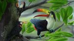  avian bird branch leaves nintendo pikipek pok&eacute;mon realistic toucan toucannon tree trumbeak video_games woodpecker yggdrassal 