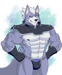  anthro biceps big_muscles bulge canine male mammal muscular muscular_male nintendo pecs star_fox steven_ciervyena video_games wolf wolf_o&#039;donnell 