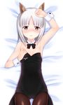  animal_ears armpits arms_up bed_sheet black_legwear blush bow bowtie brave_witches brown_eyes coattails cowboy_shot dakimakura detached_collar edytha_rossmann flat_chest fox_ears from_above leotard looking_at_viewer lying medal okina_ika on_back pantyhose playboy_bunny_leotard short_hair silver_hair solo world_witches_series wrist_cuffs 
