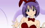  bunnygirl sairenji_haruna tagme to_love_ru vector 