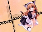  animal_ears blush catgirl maid nogizaka_haruka nogizaka_haruka_no_himitsu 