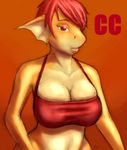  anthro clothed clothing dragon female hair kraken_(artist) looking_at_viewer sketch solo wide_hips 