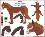  animal_genitalia animal_penis balls black_fur brown_fur brown_hair equine equine_penis erection feral fur green_eyes hair hooves horse lady-darkstreak male mammal model_sheet penis saggy_balls solo the_lusty_stallion vyktor_dreygo white_fur 