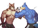 2016 abs anthro armpits biceps canine fur male mammal muscular muscular_male nipples pecs raccoon21 