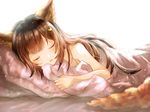  animal_ears aster_(granblue_fantasy) bangs bare_arms bare_shoulders bed_sheet black_hair blanket blurry brown_eyes brown_hair closed_eyes depth_of_field erune eyebrows_visible_through_hair eyelashes from_side granblue_fantasy hair_ornament light_particles long_hair lying myusha on_bed on_side parted_lips simple_background sleeping solo upper_body white_background 