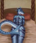  anthro bed butt efudek female fish looking_at_viewer lying marine nude selina shark solo 