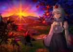  animal_ears autumn_leaves bad_id bad_pixiv_id bare_shoulders black_skirt detached_sleeves hakama_skirt hat highres inubashiri_momiji kanou_(natsuno0223) leaf looking_away maple_leaf pom_pom_(clothes) red_eyes scenery shield short_hair skirt solo sunset tail tokin_hat touhou white_hair wide_sleeves wolf_ears wolf_tail 