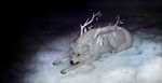  ambiguous_gender black_lips black_nose canine feral fur lying mammal night nude outside pale_eyes paws snow solo white_fur wolf wolnir 