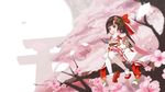  aliasing bell black_hair bow cang_yue_xue_feng cherry_blossoms flowers loli long_hair petals purple_eyes scarf thighhighs torii tree 