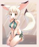  animal_ears bare_shoulders barefoot bikini blush bob_cut breasts brown_eyes cleavage fox_ears fox_tail halter_top halterneck kneeling looking_at_viewer medium_breasts o-ring o-ring_top open_mouth original short_hair side-tie_bikini signature smile solo swimsuit tail tougetsu_gou white_hair 
