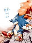  autumn blue_fur chilly_hotdog clothing eating food footwear fur gloves hatake hot_dog japanese japanese_text leafes legwear looking_at_viewer male mostly_nude pointy_ears red_shoes rock shoes sitting socks solo sonic_(series) sonic_the_hedgehog text translation_request tree video_games 