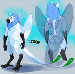 anthro avian candychameleon feathered_wings feathers gryphon hair male model_sheet nude sketch solo standing wings 