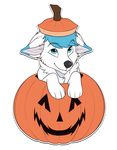  2016 alpha_channel arctic_fox black_nose blue_eyes blue_fur blue_hair canine digital_media_(artwork) ear_markings eyebrows facial_markings feral food fox front_view fruit fur hair halloween holidays jack_o&#039;_lantern looking_at_viewer lutu male mammal markings multicolored_fur pumpkin raised_eyebrow simple_background solo tinymars transparent_background two_tone_fur white_fur 