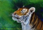  abstract_background acrylic ambiguous_gender feline feral fur kotenokgaff mammal portrait stripes tiger traditional_media_(artwork) 