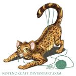  ball_of_yarn bengal cat feline feral kotenokgaff mammal playful spots string yarn 