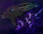  2013 black_nose blue_eyes canine fur grey_fur headshot mammal neytirix purple_background simple_background solo 