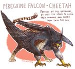  avian english_text feathered_wings feathers feral gryphon iguanamouth looking_at_viewer quadruped signature standing talons text wings 