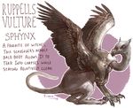  ambiguous_gender avian english_text feathered_wings feathers feral gryphon iguanamouth long_neck looking_at_viewer looking_away quadruped signature talons text wings 