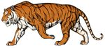  balls feline feral male mammal solo thetigress tiger 