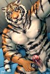  2016 anthro armpits balls black_fur cum detailed_background erection feline fur glans glossy_glans humanoid_penis knoll-noru looking_at_viewer male mammal muscular muscular_male navel nipple_piercing nipples nude orange_fur penis piercing pink_nipples sex_toy sitting solo tiger vein white_fur yellow_eyes 