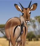  2016 anatomically_correct anatomically_correct_pussy animal_genitalia animal_pussy antelope anus butt equine_pussy female feral gazelle looking_at_viewer mammal pussy xyi 