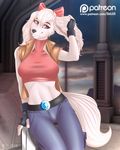  2016 anthro black_nose blue_eyes canine clothed clothing cocker_spaniel dog fay_spaniel female fingerless_gloves fur gloves hair_bow hair_ribbon llmixll long_ears looking_at_viewer mammal midriff nintendo patreon ribbons smile solo star_fox url video_games white_fur 