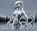  2009 anthro black_eyes breasts detailed_background digital_media_(artwork) dragon female grey_skin lake meandraco midriff naturally_censored nipples non-mammal_breasts nude reflection scalie solo tree water 