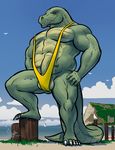  anthro balls bgn biceps clothing crocodile crocodilian erection glans hands_on_hips humanoid_penis looking_at_viewer male musclegut muscular nipple_piercing nipples penis piercing poking_out post reptile scalie slightly_chubby swimsuit uncut 