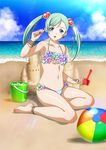  00s 1girl beach bikini female green_hair hair_ornament ikkitousen looking_at_viewer shokatsuryou_koumei sky small_breasts smile swimsuit twintails 