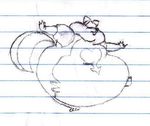  belly big_(disambiguation) furs gain invalid_tag mammal obese overweight raccoon weights 