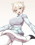  animal_ears blonde_hair blue_eyes blush brave_witches breasts commentary_request cozy crotch_seam from_below highres large_breasts looking_at_viewer looking_down nikka_edvardine_katajainen open_mouth pantyhose ribbed_sweater short_hair solo sweater tail tail_raised uniform weasel_ears weasel_tail white_legwear world_witches_series 