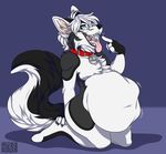  2016 abdominal_bulge anthro barefoot belly belly_expansion big_belly big_tail biped black_fur black_nose black_tail blue_eyes canine cheek_tuft chest_tuft claws collar countershade_tail digital_media_(artwork) dog fingerless_(marking) fluffy fluffy_tail front_view full-length_portrait fur gloves_(marking) hair husky inflation inner_ear_fluff jaeger_(character) looking_at_viewer male mammal markings multicolored_fur multicolored_tail muzz navel nude open_mouth pointing pointing_at_self portrait post_vore purple_background shadow short_hair signature simple_background snout solo teeth tongue tongue_out tuft two_tone_tail vore watermark white_fur white_hair white_tail 