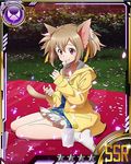  animal_ears brown_eyes brown_hair card_(medium) cat_ears cat_tail cherry_blossoms collarbone dango eating food hair_ribbon jewelry necklace official_art outdoors ribbon short_hair silica silica_(sao-alo) sitting socks solo sword_art_online sword_art_online:_code_register tail wagashi white_legwear yellow_ribbon 