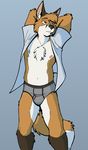  2013 anthro black_nose brown_eyes brown_fur bulge canine chest_tuft cirrus clothed clothing digital_media_(artwork) fox front_view fur hands_behind_head male mammal navel nipples open_shirt orange_fur pinup pose shirt simple_background solo tuft underwear white_fur 
