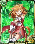  animal_ears brown_hair card_(medium) cat_ears cat_tail character_request garter_straps gloves green_eyes hands_clasped long_hair non-web_source official_art own_hands_together slit_pupils solo star sword_art_online sword_art_online:_code_register tail thighhighs white_gloves white_legwear 