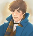  bow bowtie brown_eyes brown_hair coat fantastic_beasts_and_where_to_find_them freckles male_focus newt_scamander scarf solo upper_body yunzhi-zz 