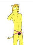  clothing feline fuze lion mammal pose thong 