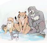  age_difference anthro blush canine crouching feline hot_spring jimyangsheep male mammal nude onsen penis simple_background sitting tiger uncut water young 
