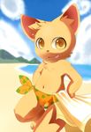  anthro balls beach cat chest_tuft clothing cloud cub feline fur looking_at_viewer male mammal moki navel orange_eyes seaside shadow solo speedo standing swimsuit tan_fur tongue tongue_out towel translucent transparent_clothing tuft young 