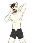  armipt boxers_(clothing) canine clothing fuze invalid_tag male mammal open_mouth pose unbottoned underwear wolf yawn 