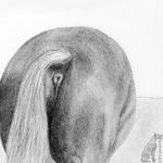  anus butt darkmare equine feral horse mammal presenting presenting_anus realistic solo traditional_media_(artwork) 