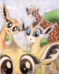  2016 antelope big_eyes big_head black_fur blue_eyes bovid brown_eyes brown_fur brown_hair brown_mane brown_markings camera_view cautious cloud cloven_hooves colored_pencil_(artwork) countershade_legs countershade_torso countershading cub curious dik-dik eye_markings eyelashes facial_markings fan_character female feral forehead_markings foreshortening frown fur fur_tuft gazelle gerenuk giraffe giraffid grass grey_eyes grey_fur grey_hooves grey_horn group hair head_tilt head_tuft hi_res hidden_camera hooves horn humor kekere_iwariiri kirk&#039;s_dik-dik long_eyelashes long_legs long_neck looking_at_viewer mammal mane markings multicolored_fur muzzle_(marking) my_little_pony nature nuk_the_gerenuk open_frown open_mouth orange_fur orange_spots ossicones outside perspective quadruped raised_eyebrow raised_leg reticulated_giraffe salma_the_thomson&#039;s_gazelle savanna scared short_hair size_difference sky snout spots spotted_fur standing stare story story_in_description surprise tan_fur tan_horn thefriendlyelephant thomson&#039;s_gazelle toony traditional_media_(artwork) tree true_antelope tuft two_tone_fur unimpressed wary white_countershading white_fur white_markings wide_eyed worried young zeka_the_reticulated_giraffe 