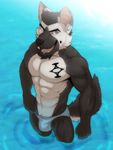  2016 5_fingers abs aluminemsiren anthro bat berin_(character) berinvalar biceps biped black_nose blue_eyes brown_fur brown_hair brown_tail bulge canine clothed clothing countershade_tail countershade_torso countershading digital_media_(artwork) dog ear_piercing eyebrows facial_piercing fangs fluffy fluffy_tail front_view fur german_shepherd grey_bottomwear grey_clothing hair hand_on_hip hi_res high-angle_view humanoid_hands hybrid lip_piercing lip_ring looking_at_viewer looking_up male mammal multicolored_fur multicolored_tail muscular muscular_male open_mouth partially_submerged pecs piercing portrait snout solo speedo sunlight sunny swimsuit tan_countershading tan_fur tan_tail tattoo teeth three-quarter_portrait topless two_tone_fur two_tone_tail water 