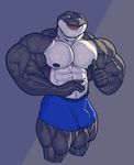  2016 abs alligator anthro biceps big_muscles blue_eyes bulge clothing crocodilian looking_at_viewer male muscular muscular_male navel open_mouth pecs pose reptile ripped-saurian scalie shorts solo teeth thumbs_up vein 