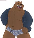  anthro anthrofied bear briefs bulge cartoon_network clothing ethancostas flat_colors front_view grin grizzly_(character) looking_away male mammal moobs musclegut navel nipples nom_nom_(character) pinup pose signature solo standing underwear we_bare_bears 