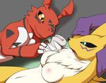  2016 anthro aoinu arm_warmers blue_eyes breasts chloroform digimon digital_media_(artwork) drugs duo female fur grey_background guilmon male navel neck_tuft nipples nude open_mouth orange_eyes red_scales renamon scales scalie sharp_teeth simple_background teeth tuft yellow_fur 