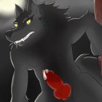  anthro canine cum fangs grey_background knot male mammal penis saliva simple_background solo ssssnowy were werewolf 
