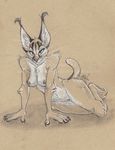  big_ears cat claws ear_tuft feline female mammal nicnak044 nub_tail pen pencil_(disambiguation) pin serval traditional_media_(artwork) tuft up 